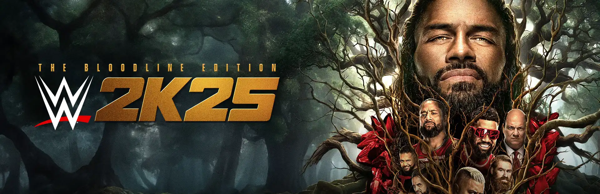 WWE 2K25-optimized